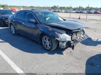  Salvage Nissan Maxima