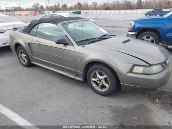  Salvage Ford Mustang