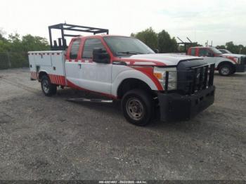  Salvage Ford F-250