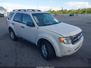  Salvage Ford Escape