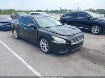  Salvage Nissan Maxima