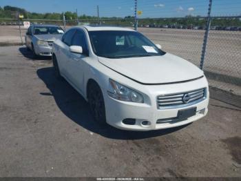  Salvage Nissan Maxima