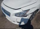 Nissan Maxima 3.5 S Image 5