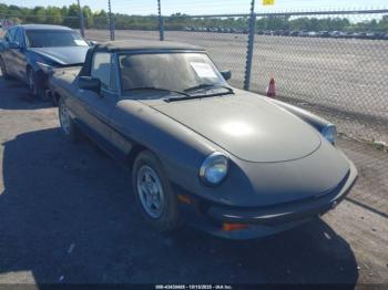  Salvage Alfa Romeo Spider